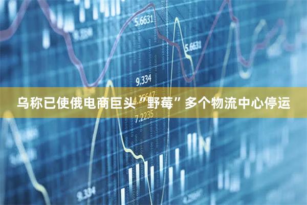 乌称已使俄电商巨头“野莓”多个物流中心停运