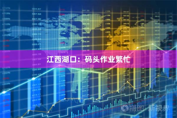 江西湖口：码头作业繁忙