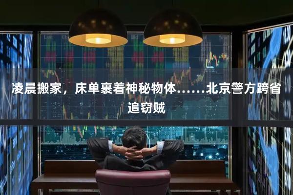 凌晨搬家，床单裹着神秘物体……北京警方跨省追窃贼